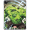 Marvel Hulk Green Goliath iPad Pro 11in (2024) Clear Case