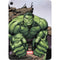Marvel Avengers Hulk Apple iPad Air Skin