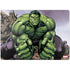 Marvel Avengers Hulk Surface Laptop 7 13.8in Skin