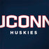 University of Connecticut Huskies UConn Dell Latitude Skin