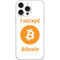 I Accept Bitcoin iPhone 16 Pro Max Skin