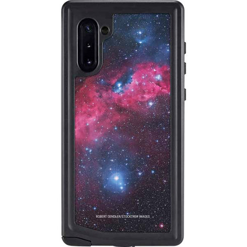 IC 2177 The Seagull Nebula Galaxy Cases