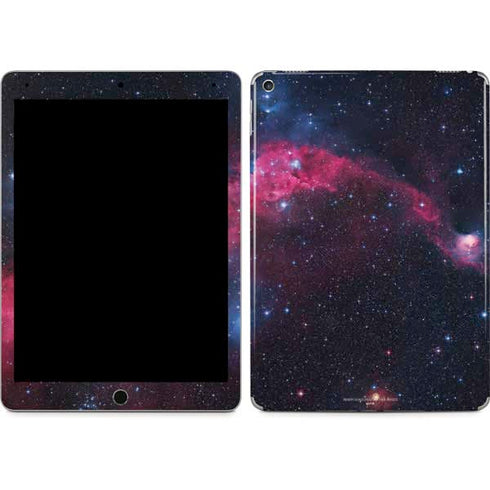 IC 2177 The Seagull Nebula iPad Skins