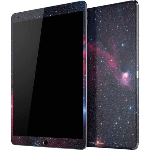 IC 2177 The Seagull Nebula iPad Skins
