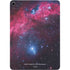 IC 2177 The Seagull Nebula Apple iPad Air Skin