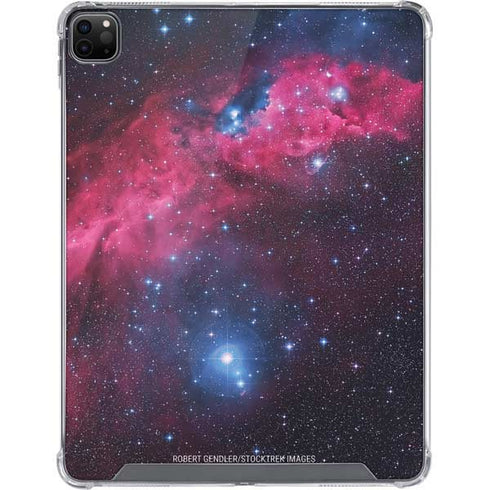IC 2177 The Seagull Nebula iPad Cases