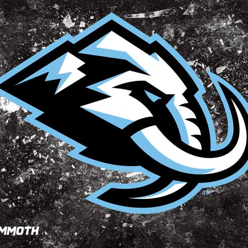 NHL Utah Mammoth Ice Frost Nintendo 2DS XL (2017) Skin