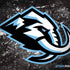 NHL Utah Mammoth Ice Frost Dell Alienware Skin