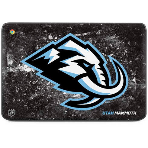 NHL Utah Mammoth Ice Frost HP Chromebook Skin