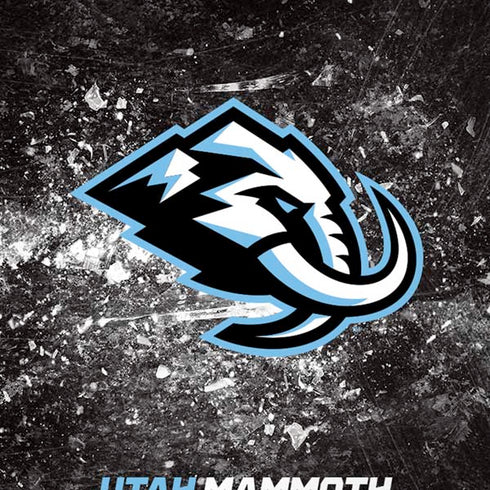 NHL Utah Mammoth Ice Frost iPhone XR Pro Case