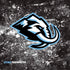 NHL Utah Mammoth Ice Frost PS4 Console Skin