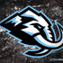 NHL Utah Mammoth Ice Frost Surface Book 2 13.5in Skin