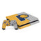 NBA Indiana Pacers Canvas PlayStation PS4 Skins