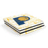 NBA Indiana Pacers Historic Blast PlayStation PS4 Skins