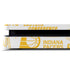NBA Indiana Pacers Historic Blast PS4 Slim Skin
