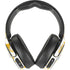 NBA Indiana Pacers Historic Blast Skullcandy Venue Skin