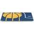 NBA Indiana Pacers Large Logo Apple iPad Air Skin