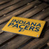 NBA Indiana Pacers Standard - Yellow Apple MacBook Air Skin