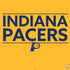 NBA Indiana Pacers Standard - Yellow PS4 Console and Controller Bundle Skin