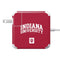 Indiana University Hoosiers 85W Power Adapter (15 and 17 inch MacBook Pro Charger) Skin