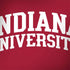 Indiana University Hoosiers Dell Latitude Skin