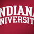 Indiana University Hoosiers MacBook Skins