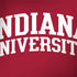 Indiana University Hoosiers PlayStation 4 Gold Wireless Headset Skin