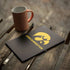 University of Iowa Hawkeyes iPad Skins