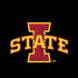 Iowa State University Primary Logo Black iPhone XR Pro Case