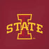 Iowa State University Primary Logo iPhone XS Pro Case