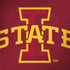 Iowa State University Primary Logo Dell Latitude Skin