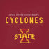 Iowa State University Athletic Text iPhone XR Pro Case