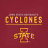 Iowa State University Athletic Text iPhone XS Pro Case