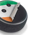 Ireland Flag Distressed Amazon Echo Dot Skin