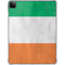 Ireland Flag Distressed iPad Pro 11in (2024) Clear Case