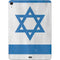 Israel Flag Distressed Apple iPad Air Skin
