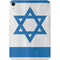 Israel Flag Distressed Apple iPad Mini Skin