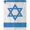 Israel Flag Distressed iPad Pro 13in M4 (2024) Skin