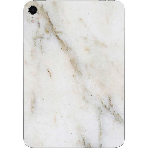 Ivory Taupe Apple iPad Mini Skin