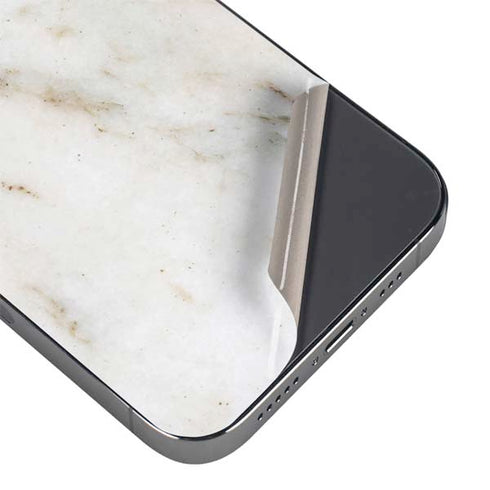 Ivory Taupe iPhone 15 Pro Max Skin