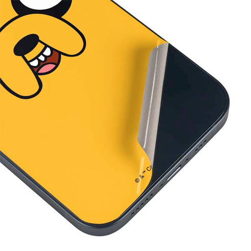 Adult Swim Adventure Time Jake The Dog iPhone Skins