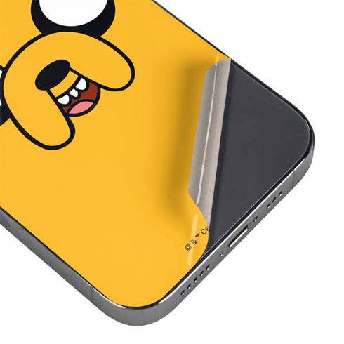 Adult Swim Adventure Time Jake The Dog iPhone 15 Pro Max Skin