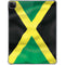 Jamaica Flag iPad Pro 11in (2024) Clear Case