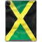 Jamaica Flag iPad Cases