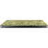 Jasmine by William Morris Apple MacBook Pro 14-inch Skin