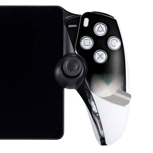 Joker by Alex Ross PlayStation Portal Remote Player Skin