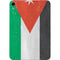 Jordan Flag Distressed Apple iPad Mini Skin