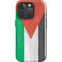 Jordan Flag Distressed iPhone 16 Pro Impact Case