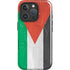Jordan Flag Distressed iPhone 16 Pro Magsafe Impact Case