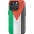 Jordan Flag Distressed iPhone 16 Pro Max Impact Case